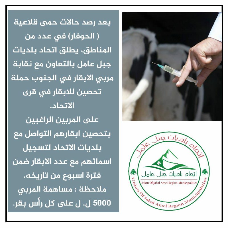 حملة تحصين للابقار في قرى الاتحاد ضد مرض الحوفار