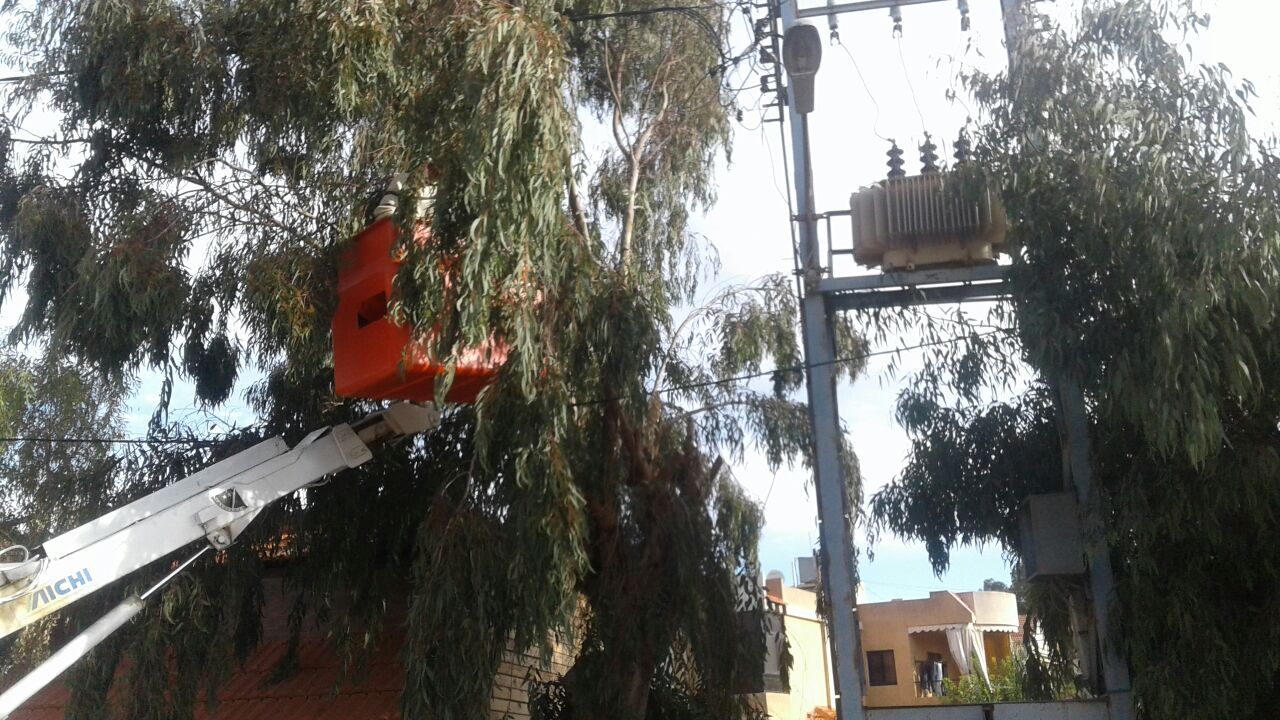 تشحيل الاشجار التي تشكل خطراً على شبكة الكهرباء في قرى الاتحاد