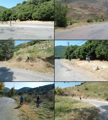 تنظيف جوانب الطريق ضمن محمية وادي الحجير
